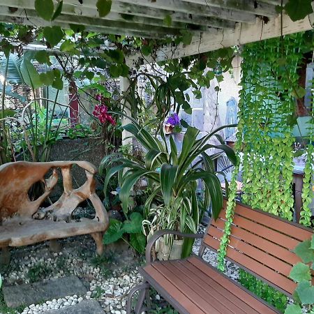 Bali House Daire Hualien Dış mekan fotoğraf